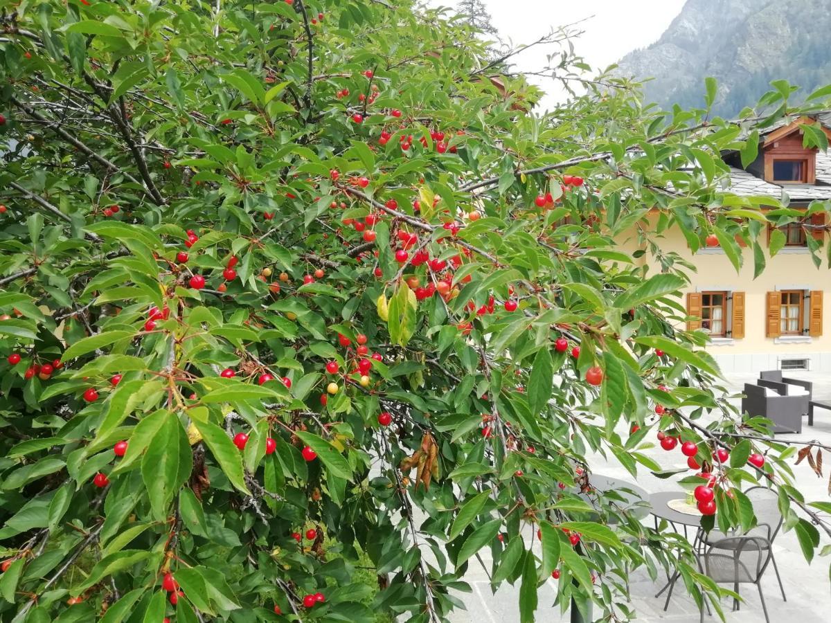 Villa Fridau Resort Gressoney-Saint-Jean Kültér fotó